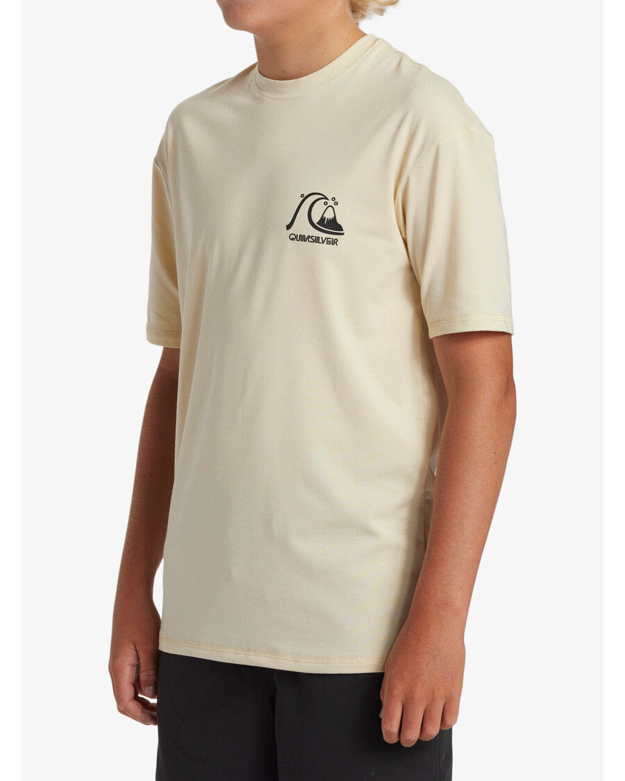 Quiksilver Pojat 8-16 Dna Surf Tee -
