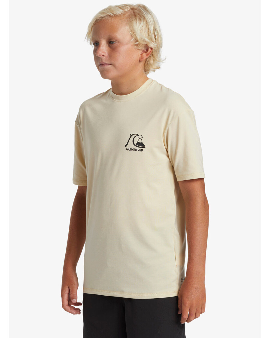 Quiksilver Pojat 8-16 Dna Surf Tee -
