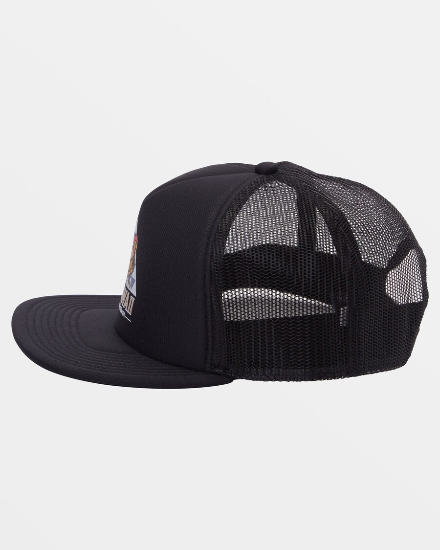 Quiksilver Roosting Trucker Hattu - Musta