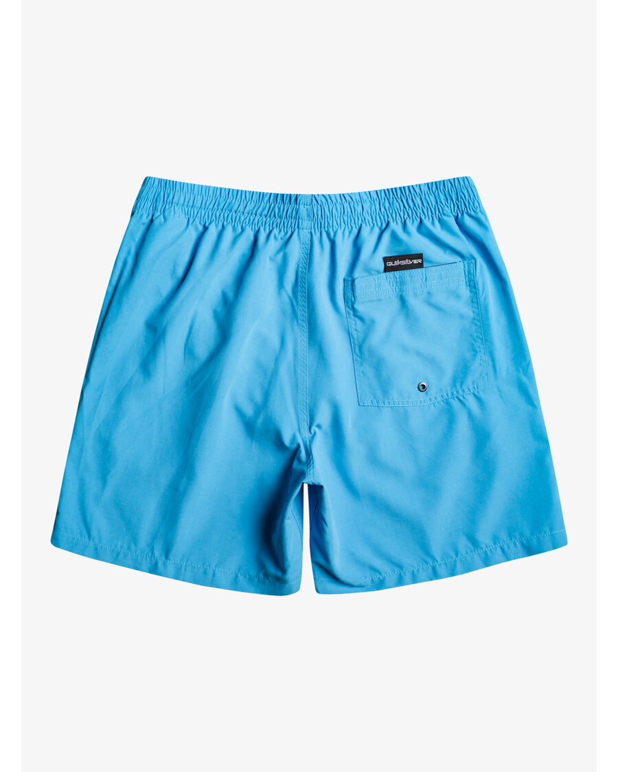 Quiksilver Každodenní 17" Plavky - Blithe