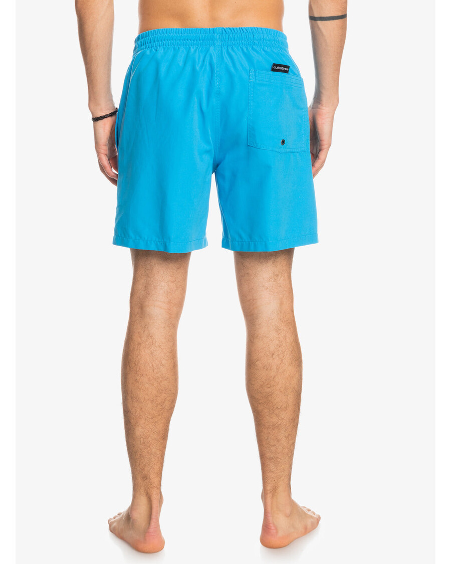 Quiksilver Každodenní 17" Plavky - Blithe