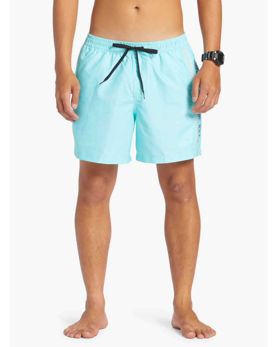 Плавки Quiksilver Everyday Ver 16 дюймов — синее сияние