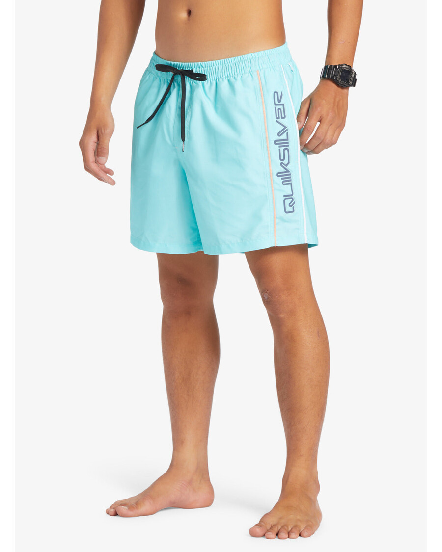 Плавки Quiksilver Everyday Ver 16 дюймов — синее сияние