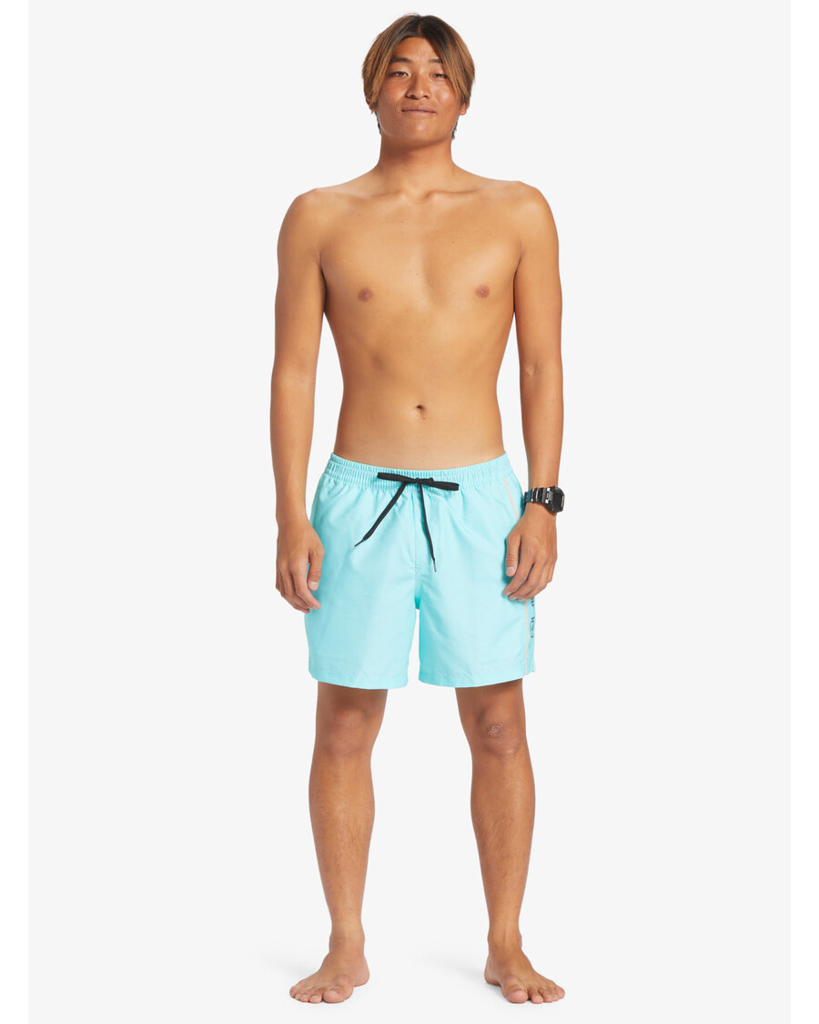 Плавки Quiksilver Everyday Ver 16 дюймов — синее сияние