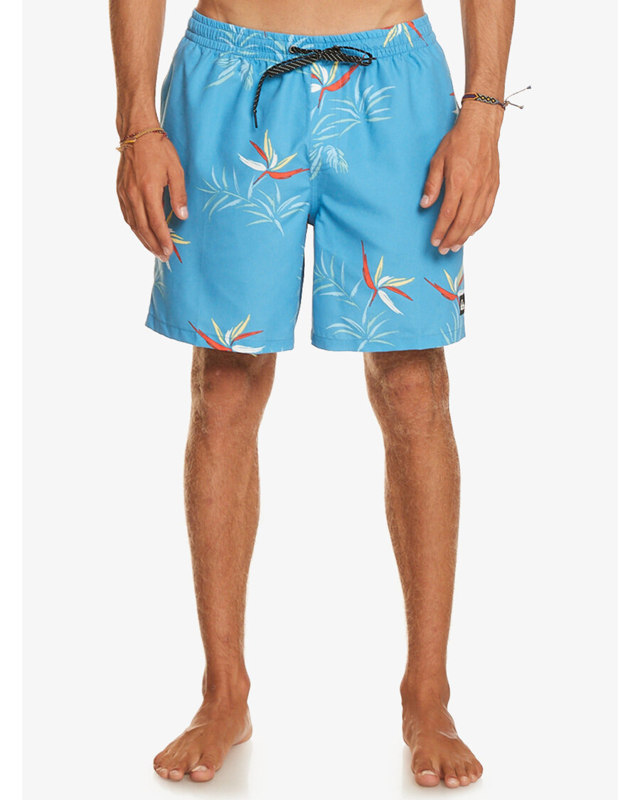 Quik Silver Everyday Mix 17" Swim Trunks - Azure Blue