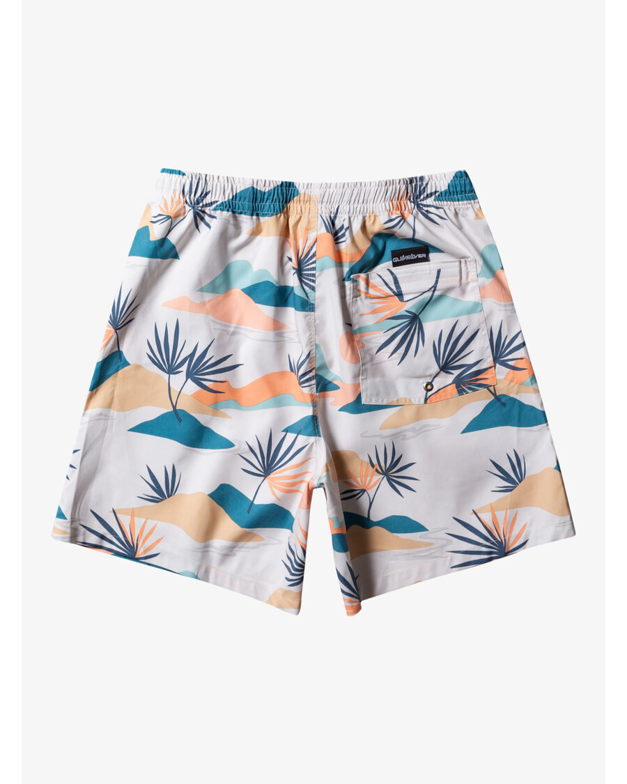 Quiksilver Každodenní Mix 17" Plavky - Bříza