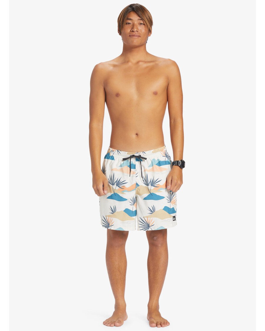 Quiksilver Každodenní Mix 17" Plavky - Bříza