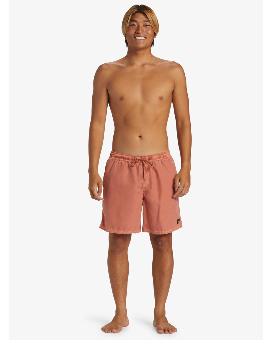 Quik Silver Everyday Surfwash 17" Swim Trunks - Canyon Clay