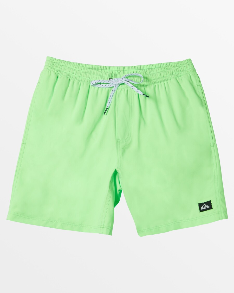 Quiksilver καθημερινά μαγιό 15" - πράσινο γκέκο