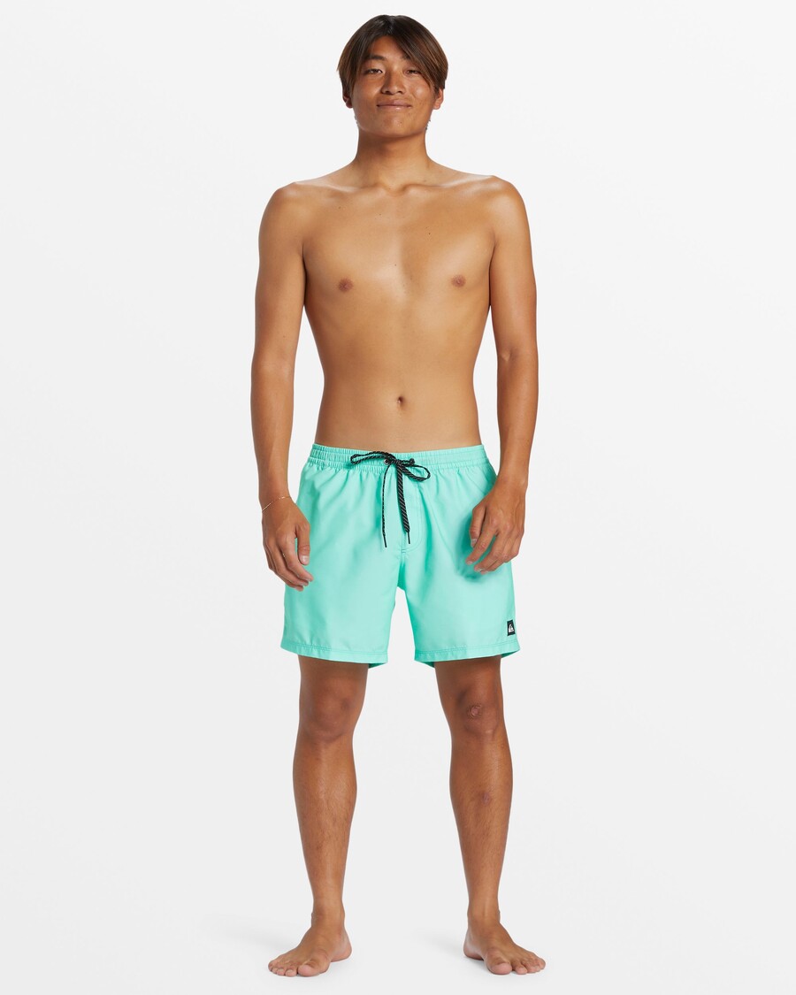 Quik Silver Everyday Solid 15" Swim Trunks - Beveled Glass