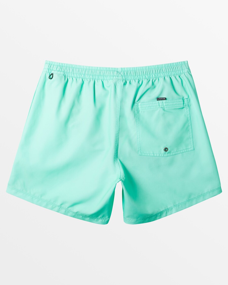 Quik Silver Everyday Solid 15" Swim Trunks - Beveled Glass