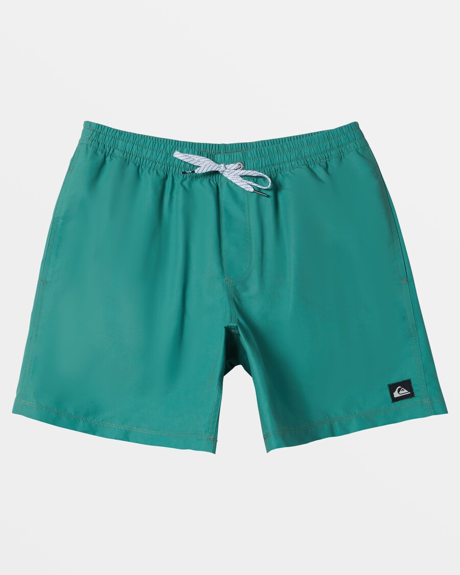Quiksilver Everyday Solid 17" Badehose – Frostige Fichte