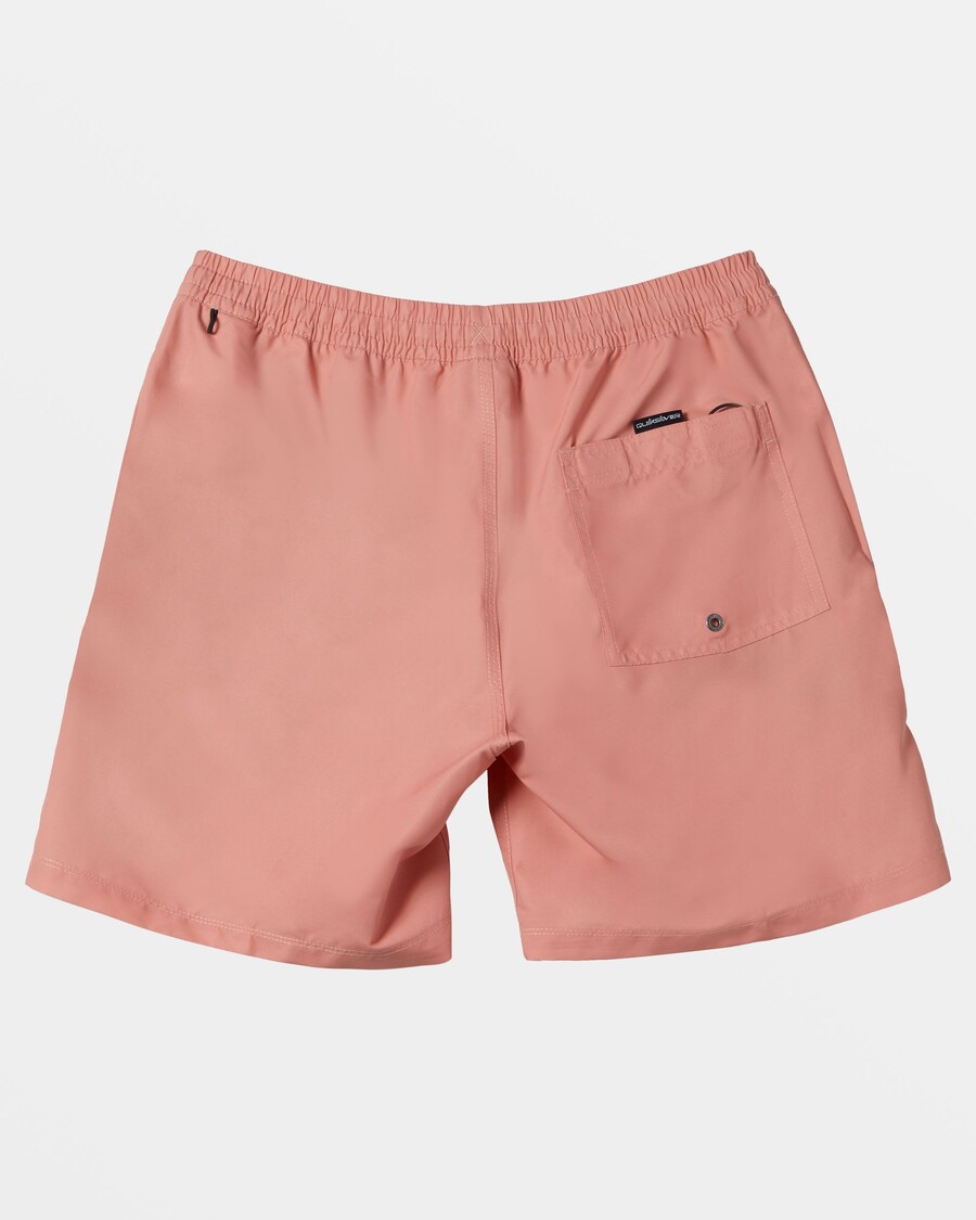 Quik Silver Everyday Solid 17" Swim Trunks - Canyon Clay