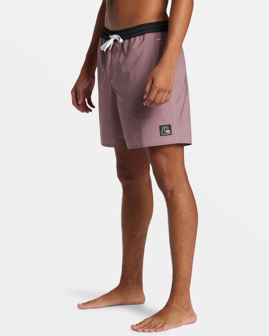 Прямые плавки 17 дюймов Quiksilver Original - Grape Shake