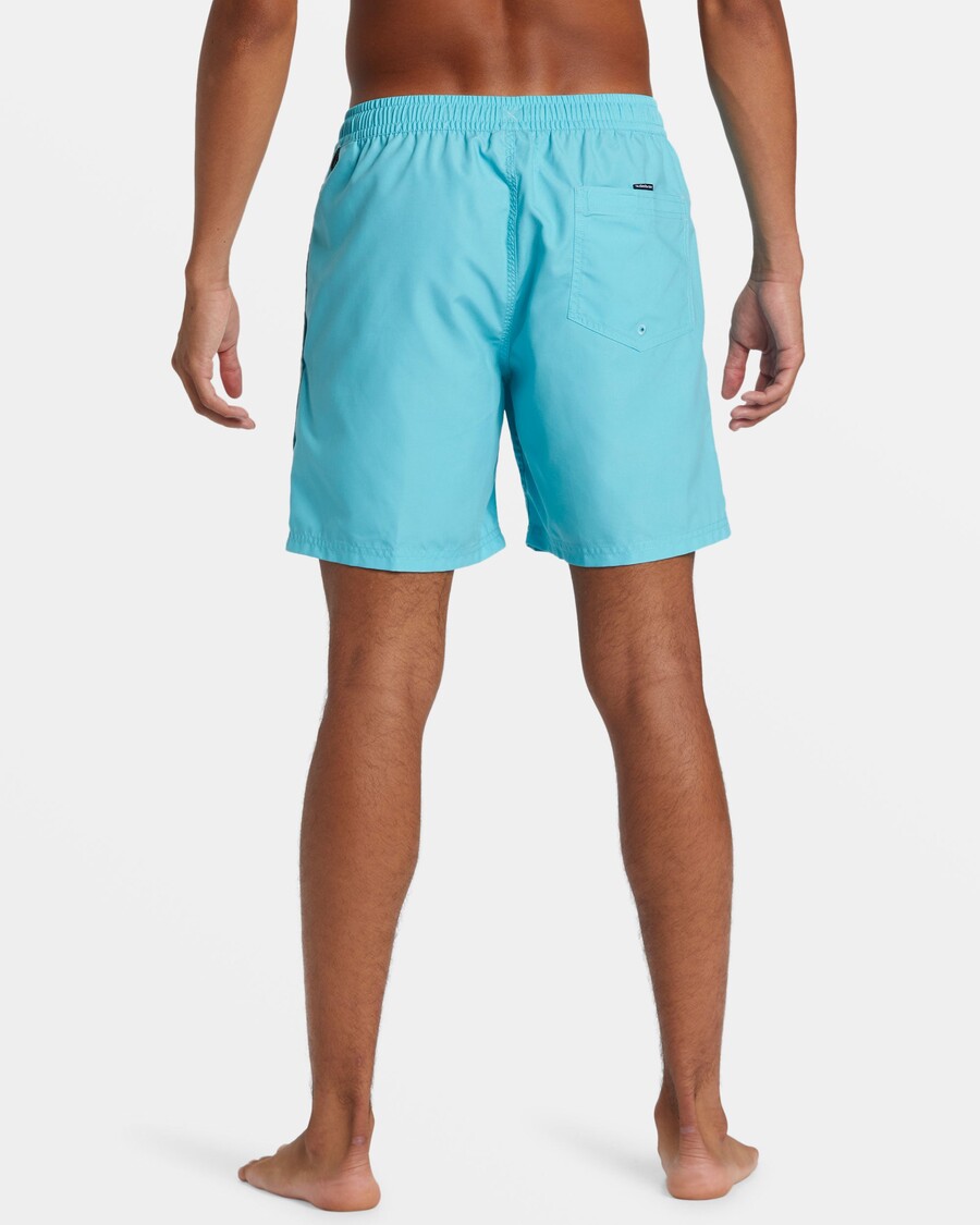 Quiksilver Daily Vert 2 17" Peldbikses - Maui Zilas
