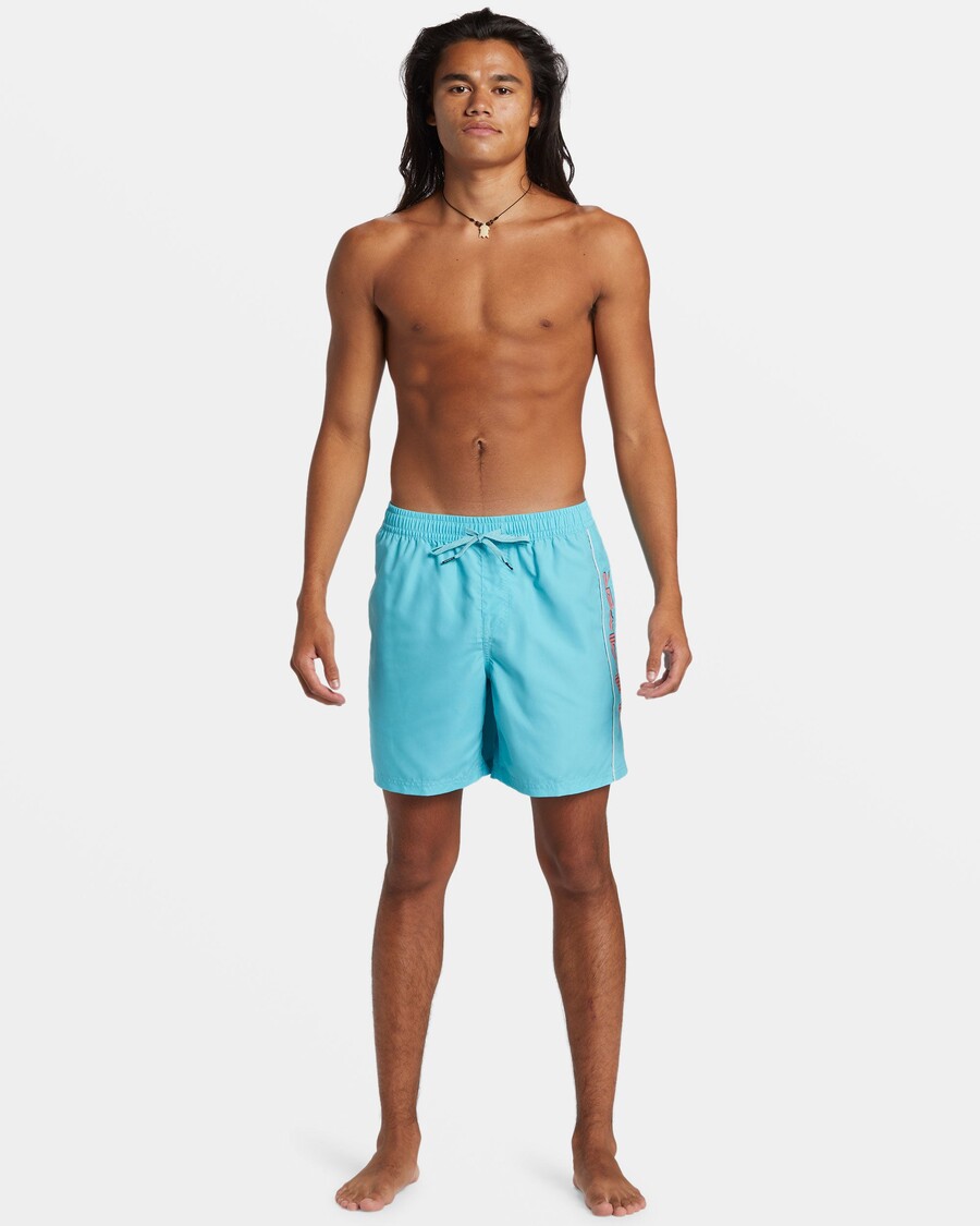 Quiksilver Daily Vert 2 17" Peldbikses - Maui Zilas