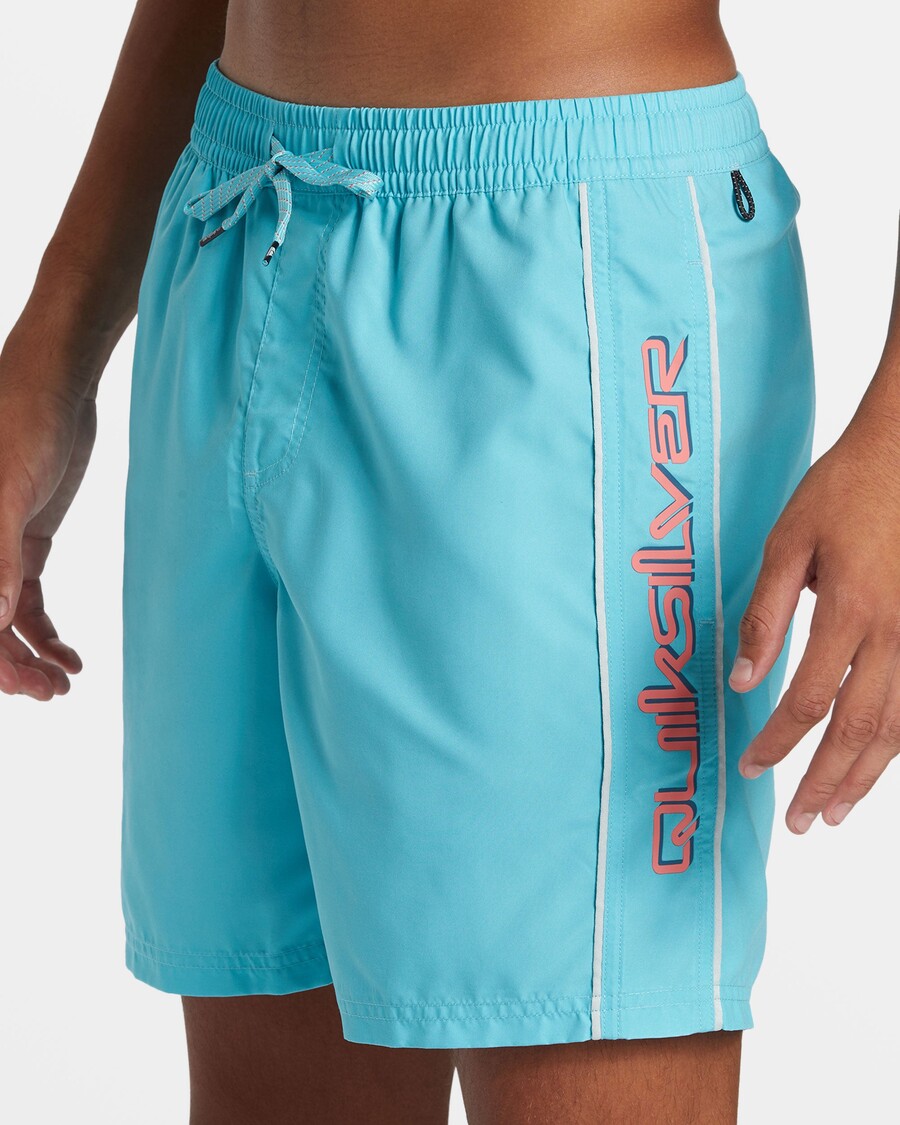 Quiksilver Daily Vert 2 17" Peldbikses - Maui Zilas