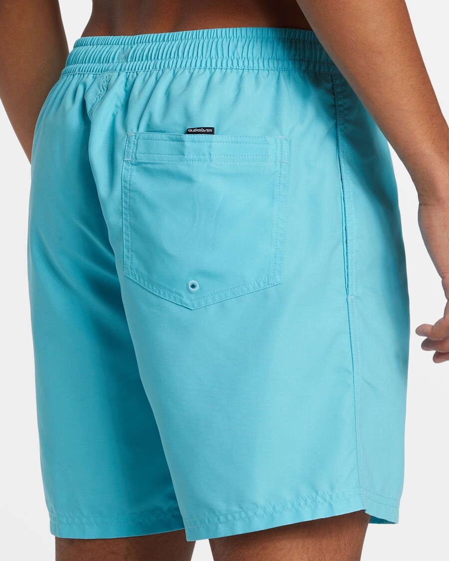 Quiksilver Daily Vert 2 17" Peldbikses - Maui Zilas