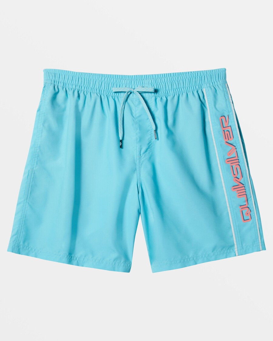 Quiksilver Daily Vert 2 17" Peldbikses - Maui Zilas
