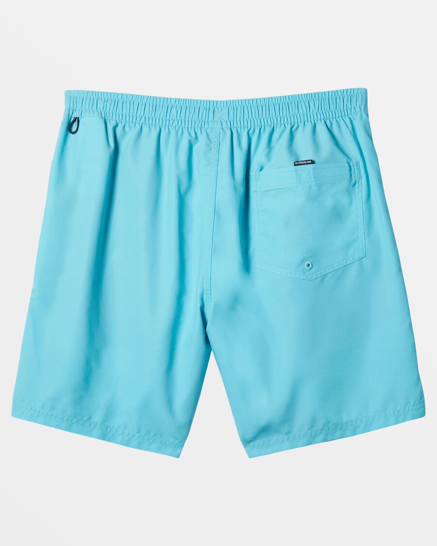 Quiksilver Daily Vert 2 17" Peldbikses - Maui Zilas