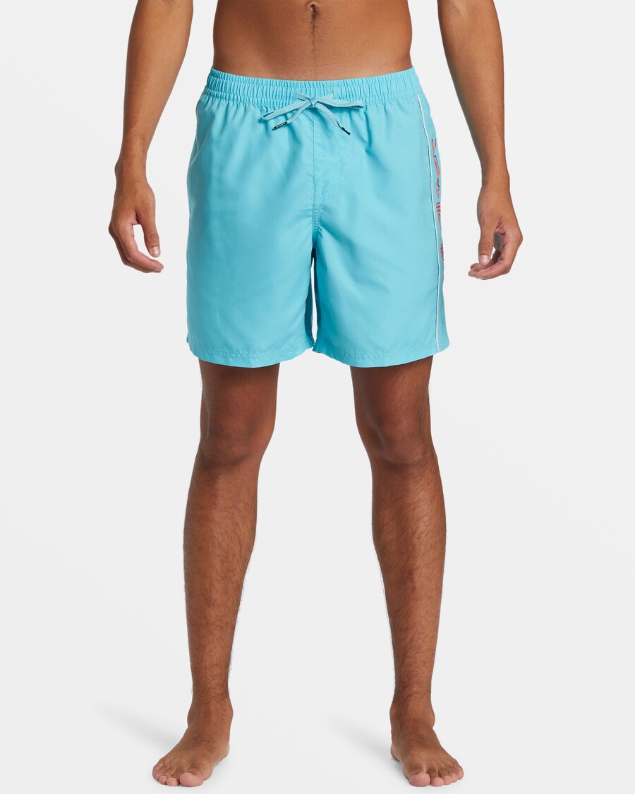Quiksilver Daily Vert 2 17" Peldbikses - Maui Zilas