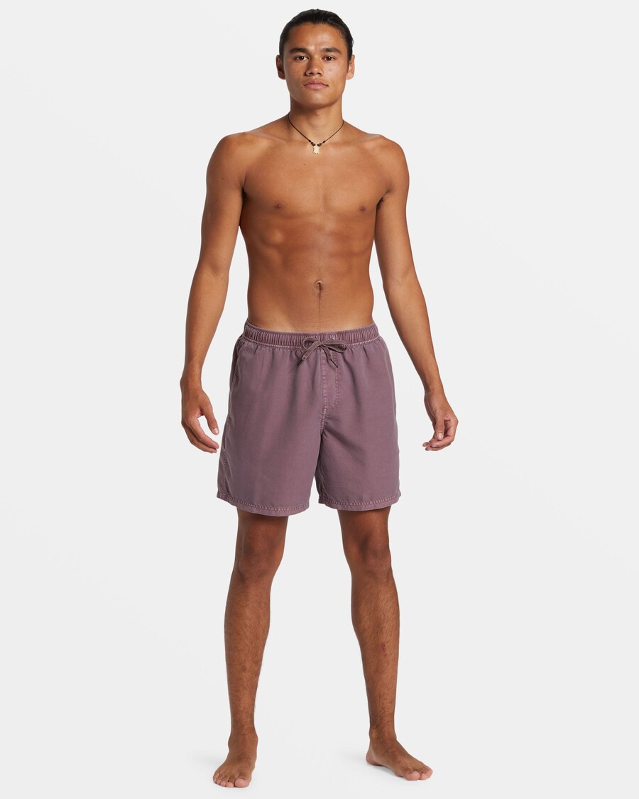 Quik Silver Everyday Surfwash 17" Swim Trunks - Grape Shake