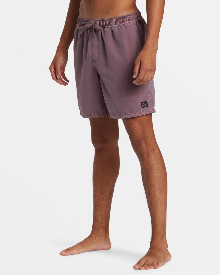 Quik Silver Everyday Surfwash 17" Swim Trunks - Grape Shake