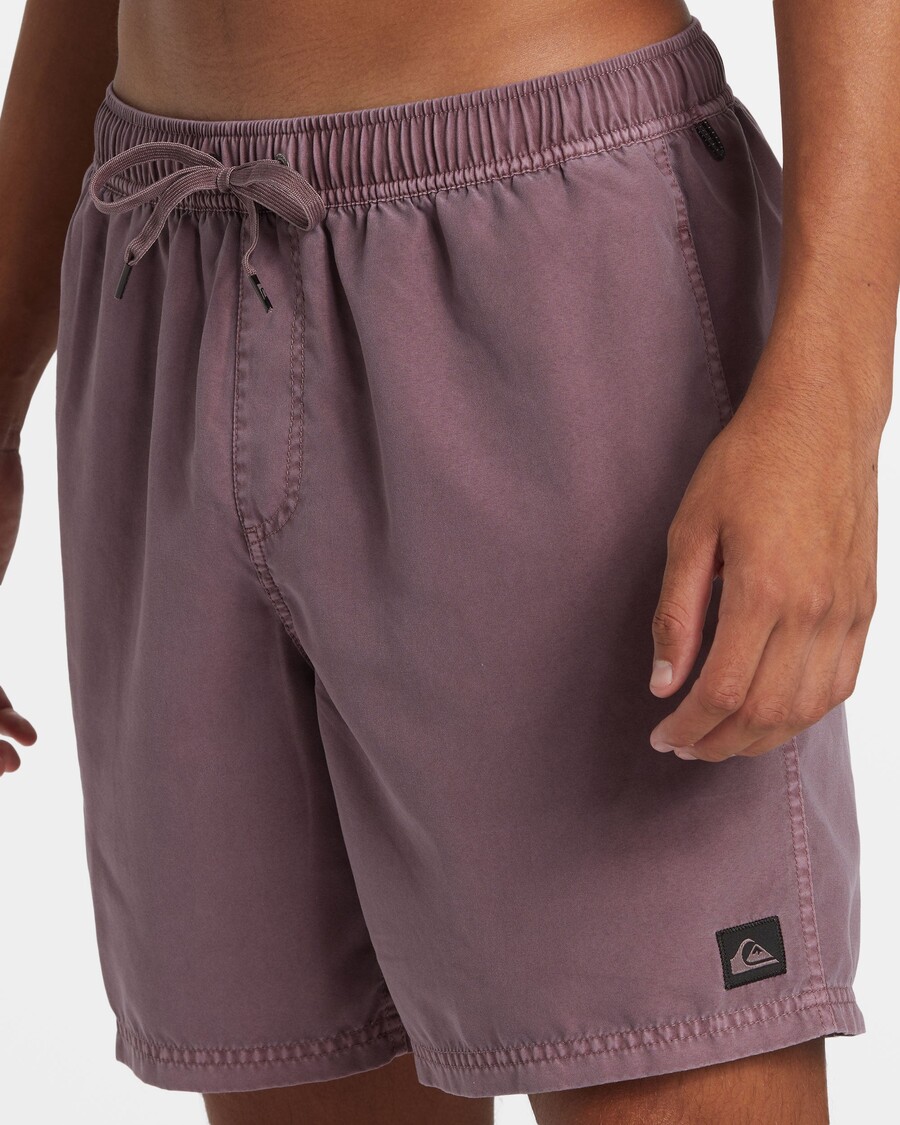 Quik Silver Everyday Surfwash 17" Swim Trunks - Grape Shake