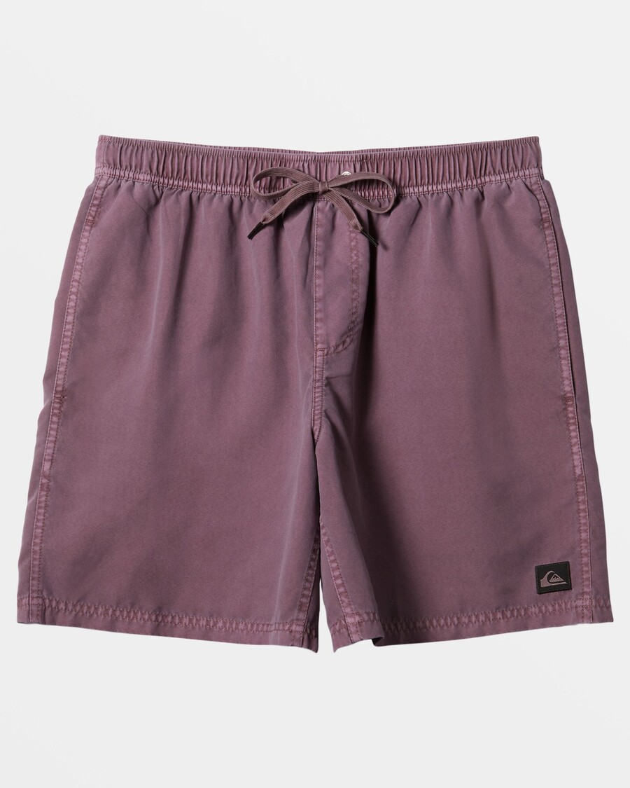 Quik Silver Everyday Surfwash 17" Swim Trunks - Grape Shake