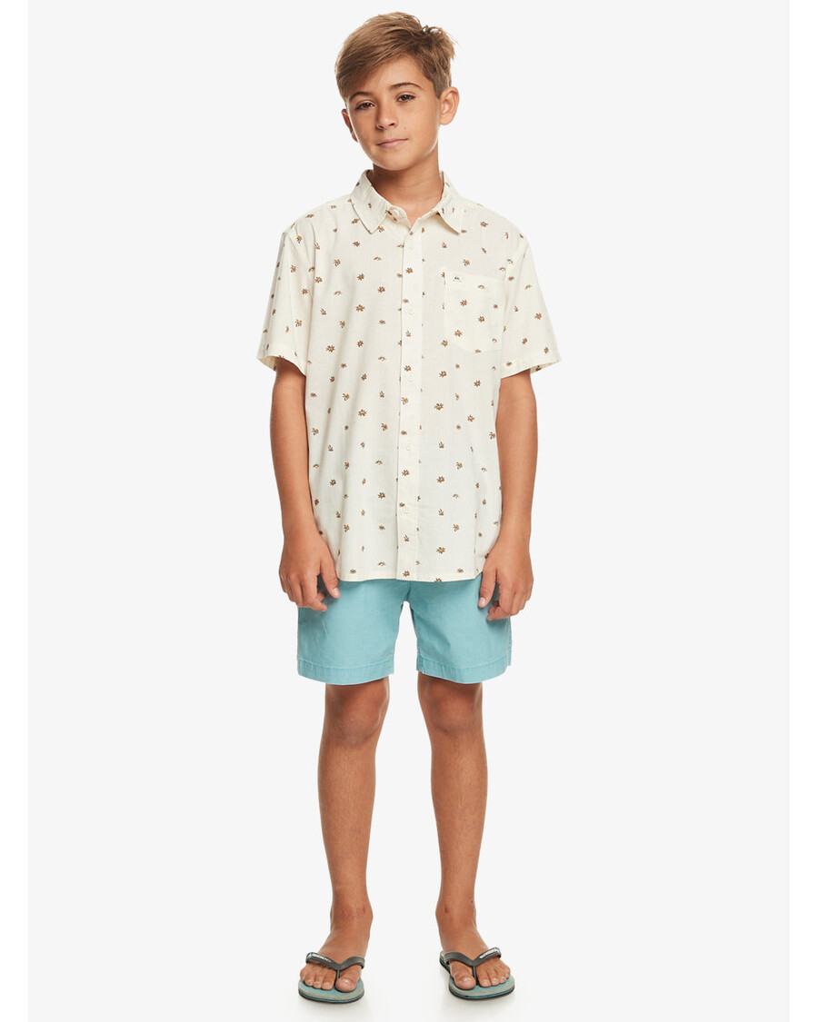 куиксилвер минимо мајица кратких рукава - бирцх минимо