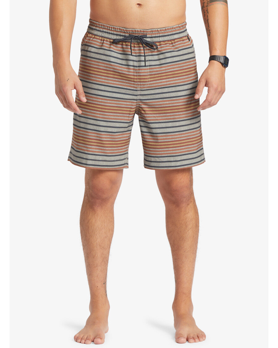 クイックシルバー タキサー プリント 18 インチ 水陸両用ボードショーツ - ホライズン バーチ タキサー