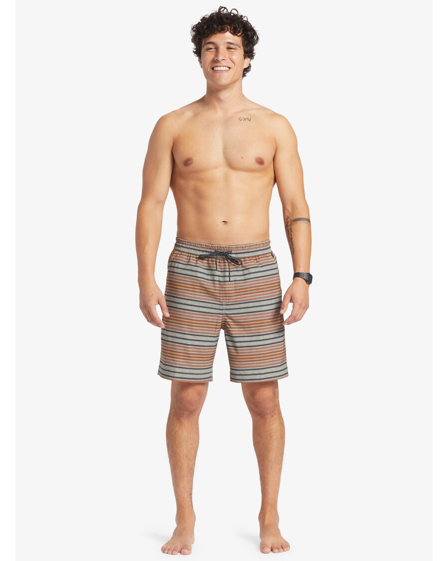 クイックシルバー タキサー プリント 18 インチ 水陸両用ボードショーツ - ホライズン バーチ タキサー