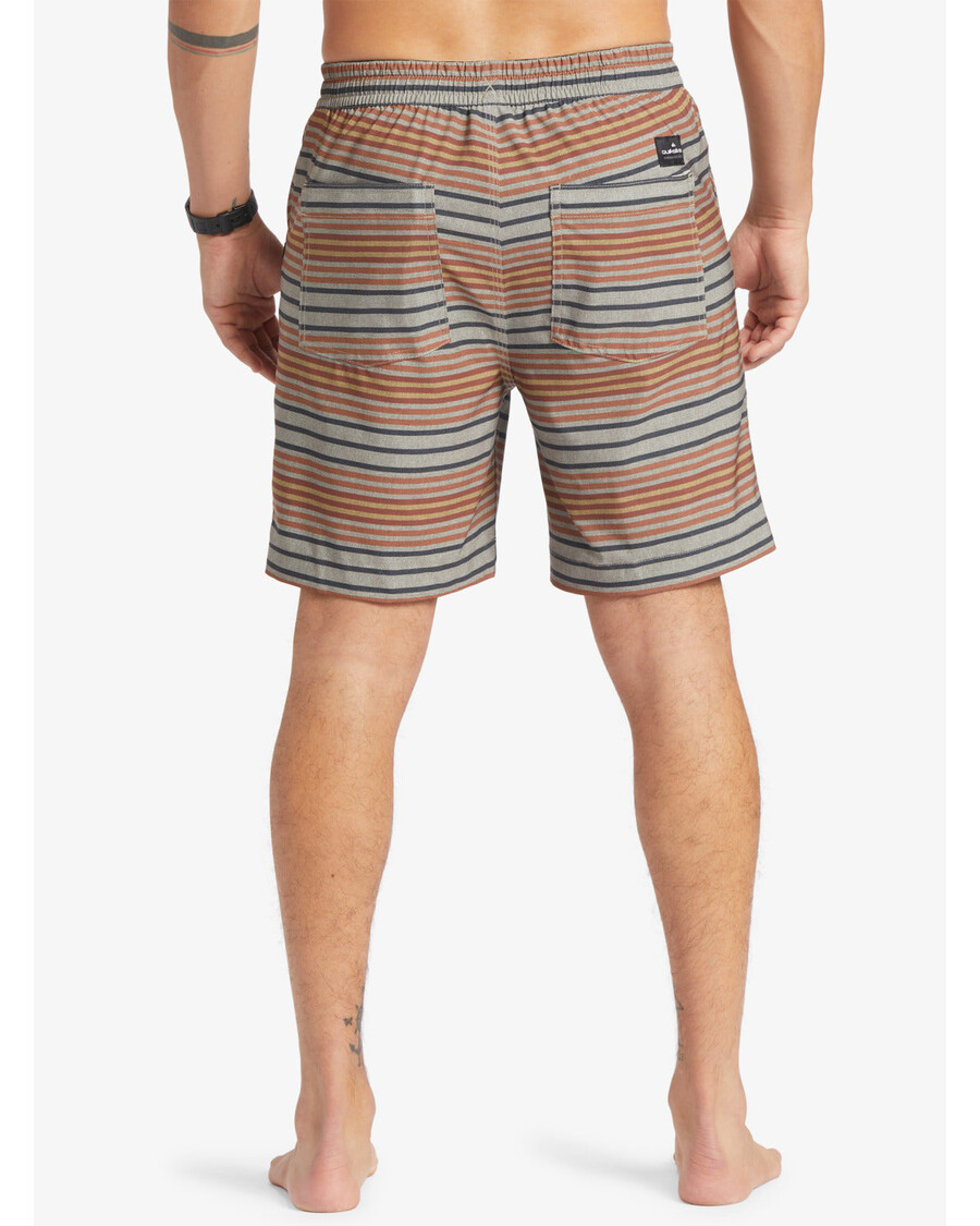 クイックシルバー タキサー プリント 18 インチ 水陸両用ボードショーツ - ホライズン バーチ タキサー