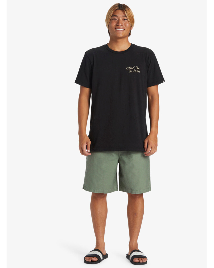 Quik Silver Taxer Baggy Shorts - Sea Spray
