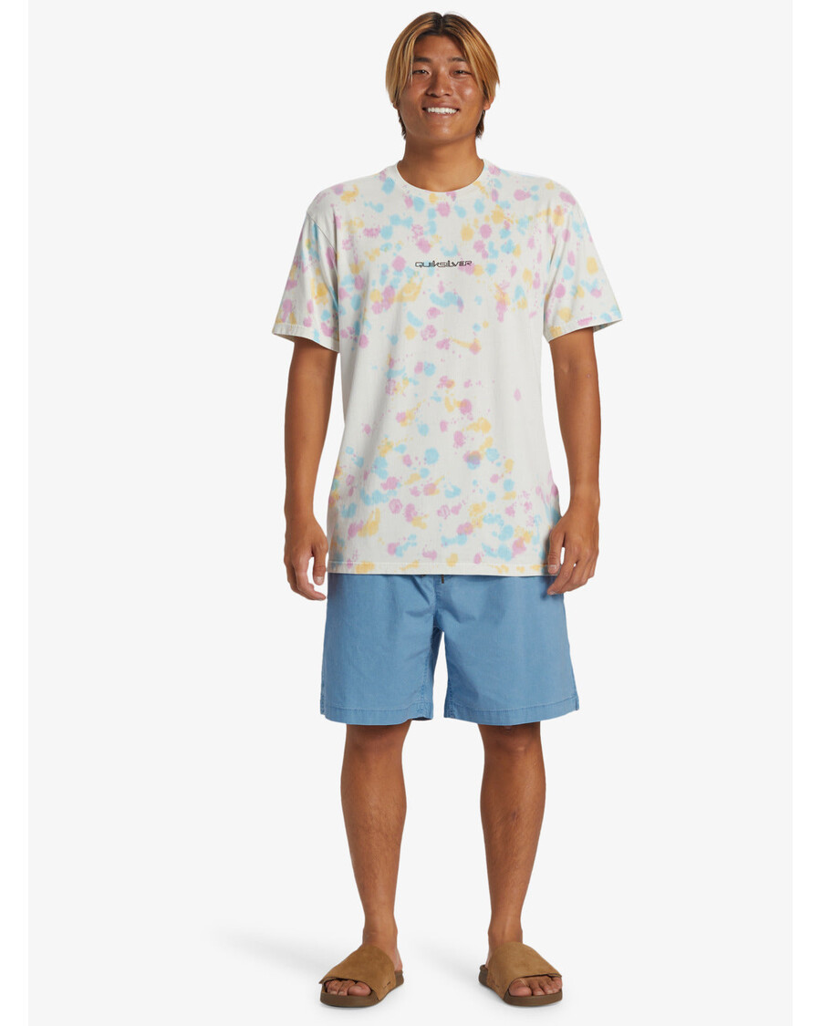 Quik Silver Taxer Shorts - Blue Shadow