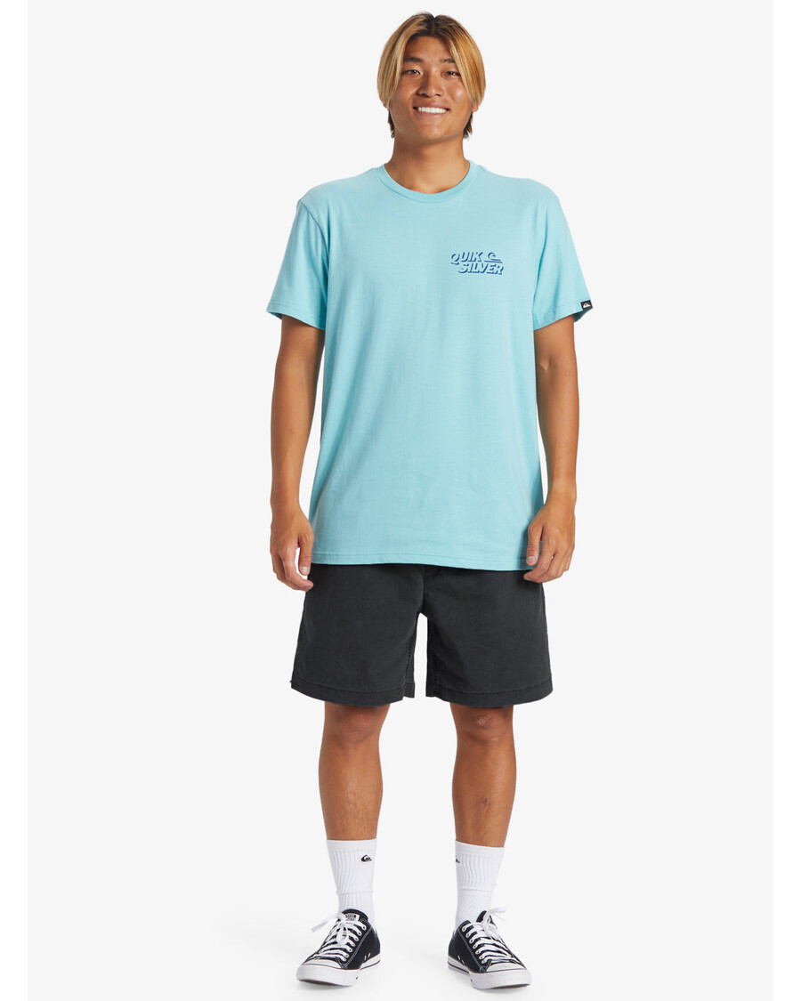 Quik Silver Taxer Shorts - Black