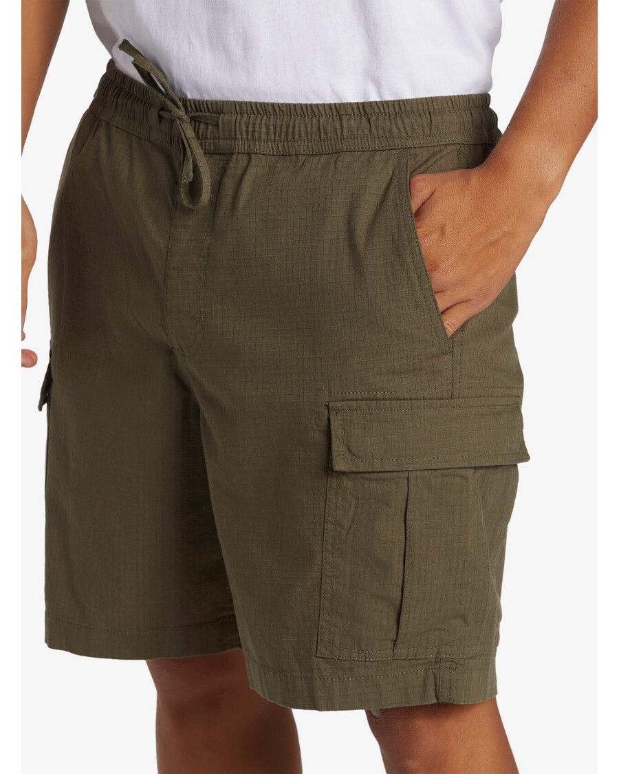 Quik Silver Taxer Cargo Shorts - Grape Leaf