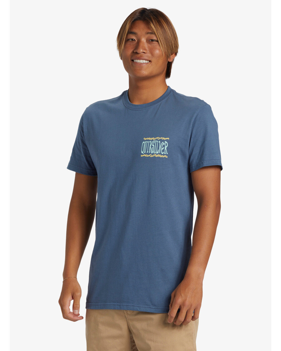 Quiksilver Take Roots T-paita - Bering Meri