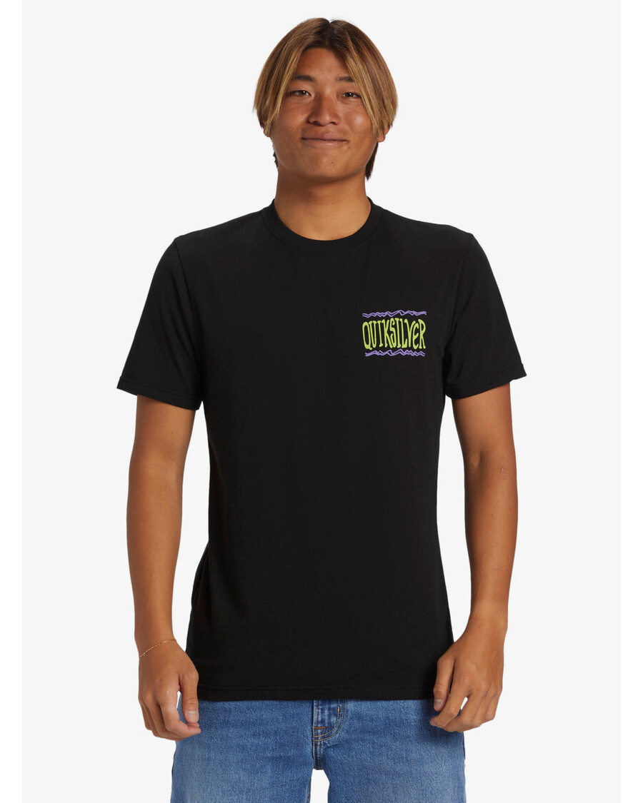 Quik Silver Taking Roots T-Shirt - Black