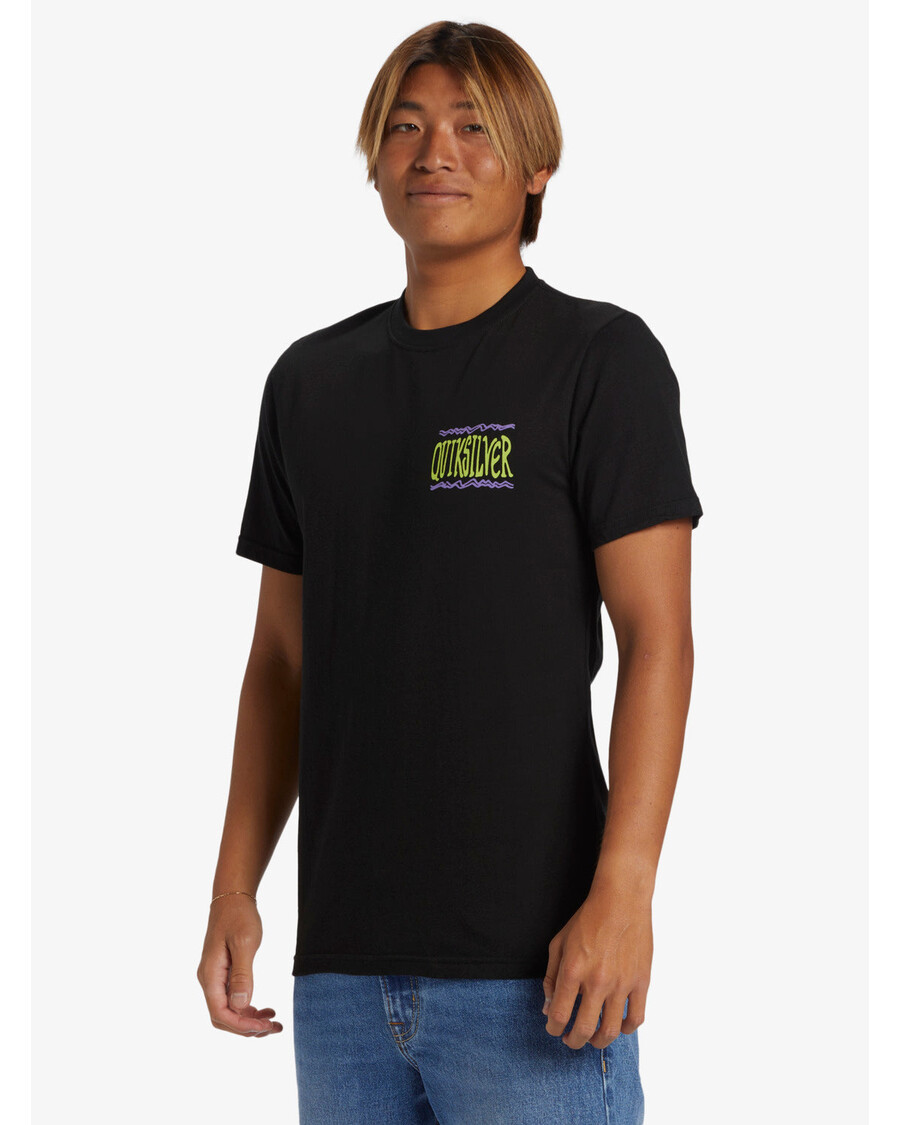 Quik Silver Taking Roots T-Shirt - Black