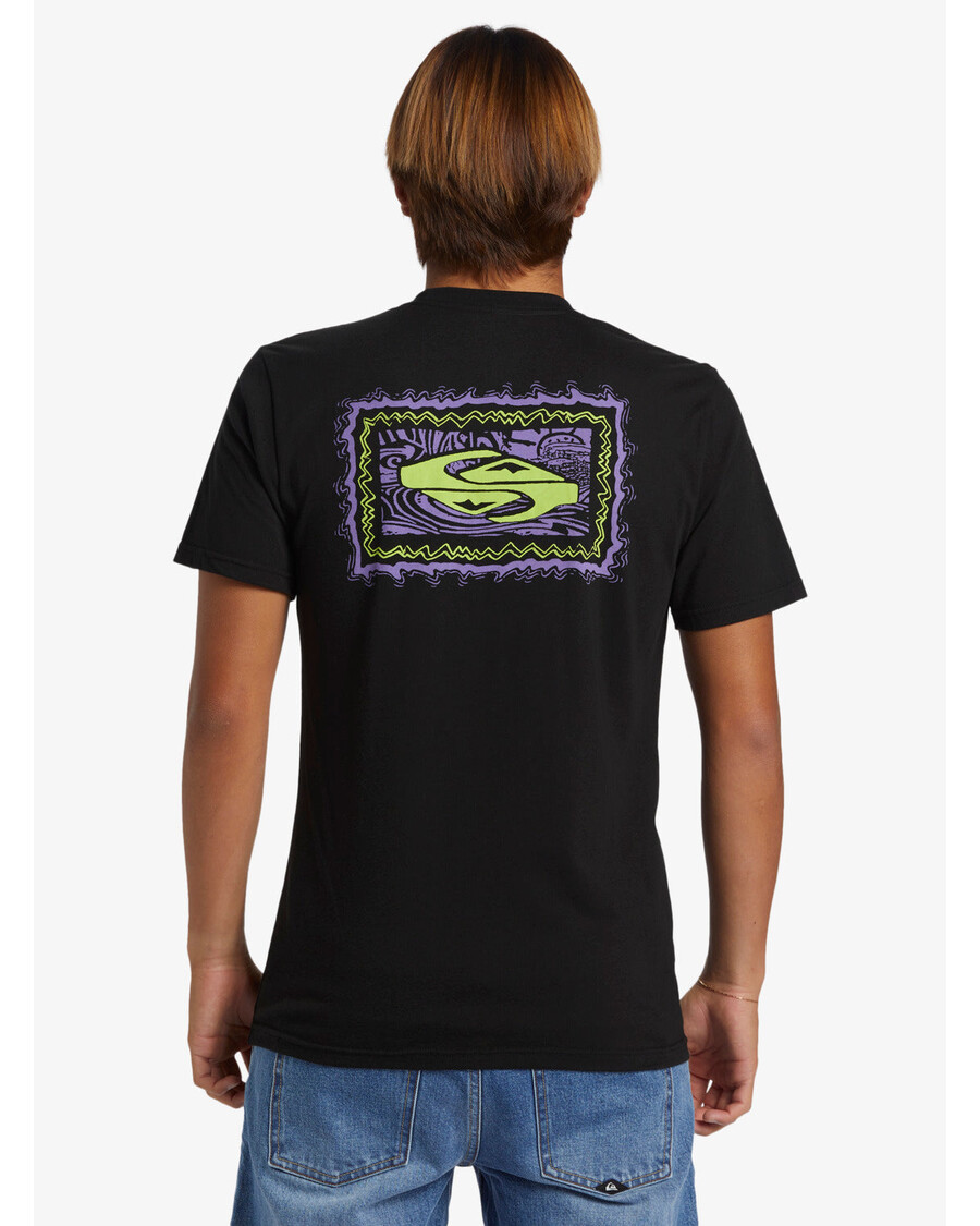 Quik Silver Taking Roots T-Shirt - Black