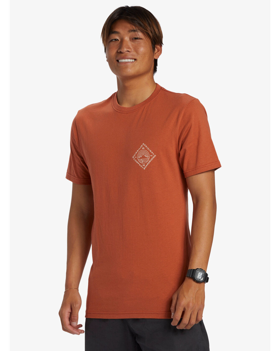 Quik Silver Scenic View T-Shirt - Baked Clay