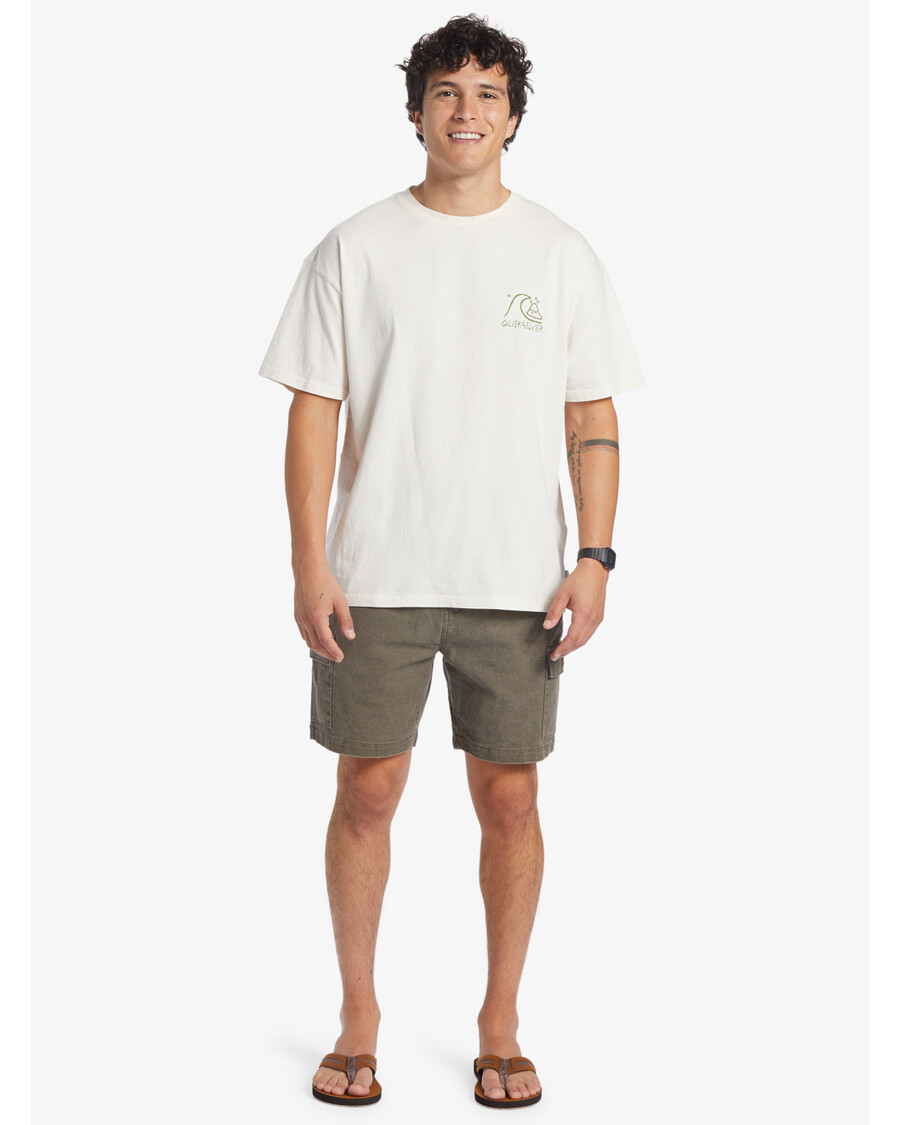 Футболка Quicksilver Bag Of Sun MND - Гардения