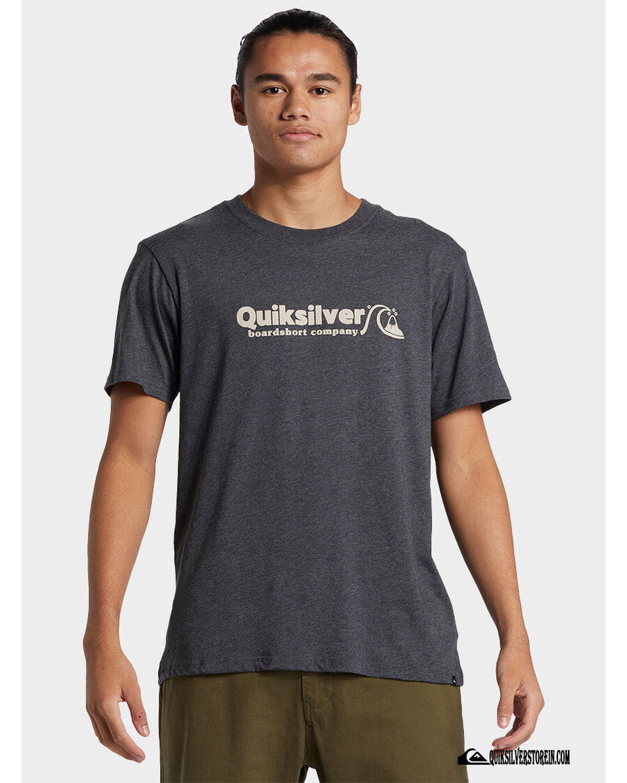 Camiseta Mod Quik Silver Twinnies - Carvão Urze