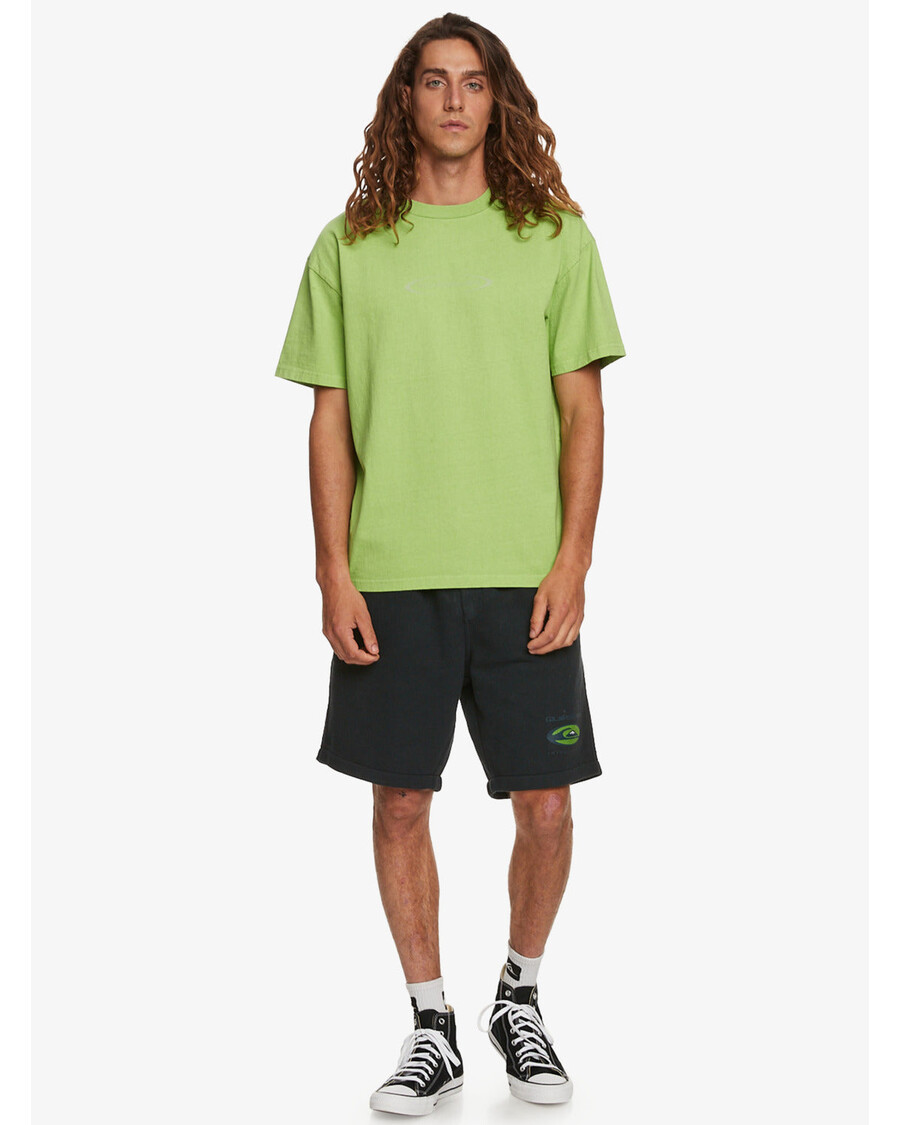 تي شيرت كويك منحرف باللون الفضي - بنما