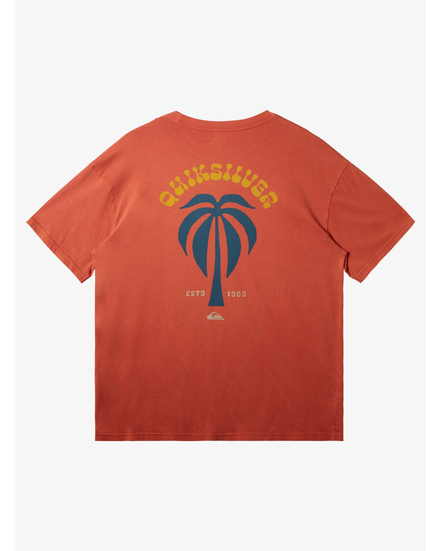 Quik Silver Bloom T-Shirt - Baked Clay