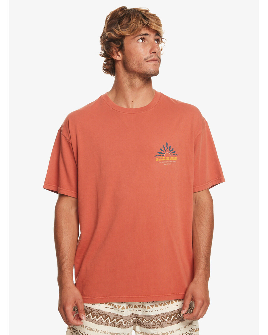 Quik Silver Bloom T-Shirt - Baked Clay