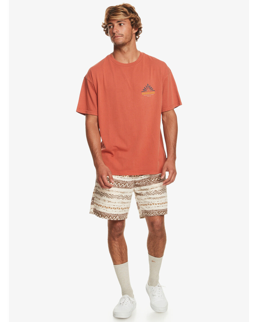 Quik Silver Bloom T-Shirt - Baked Clay