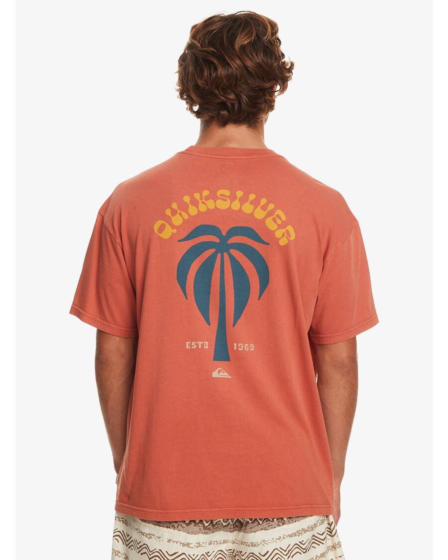 Quik Silver Bloom T-Shirt - Baked Clay