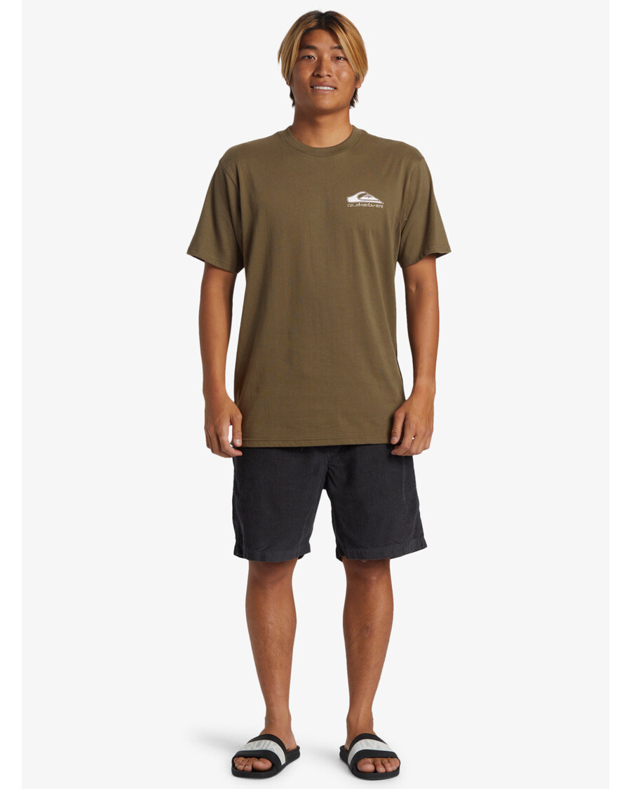 Футболка Quik Silver Step Up с виноградным листом